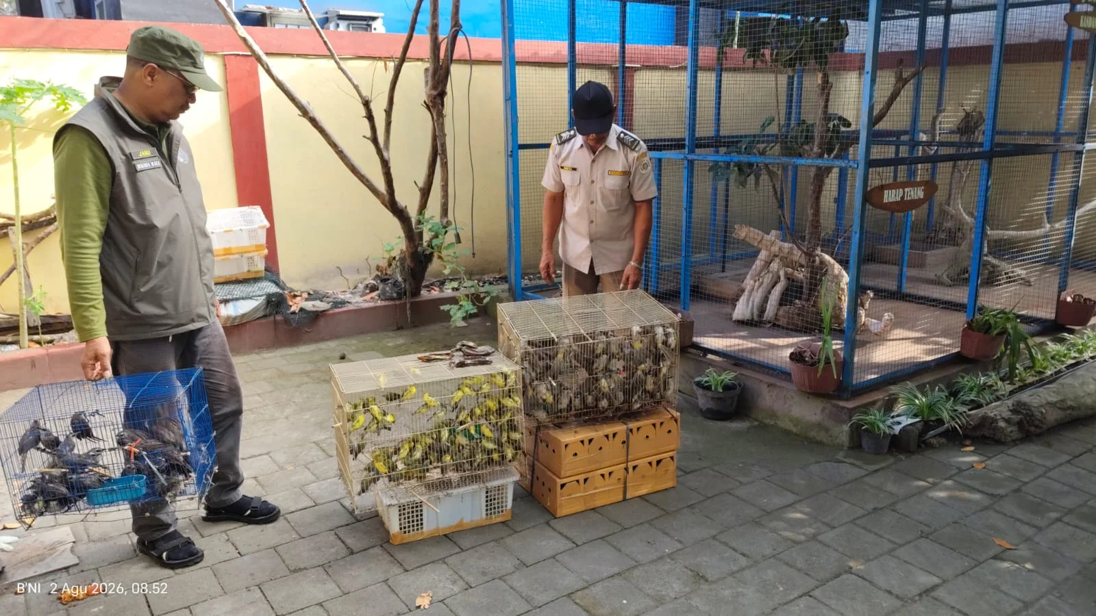 Petugas saat akan melepasliarkan 283 ekor burung hasil penyitaan di Pelabuhan Gilimanuk Jembrana Bali di kawasan Karangsew...