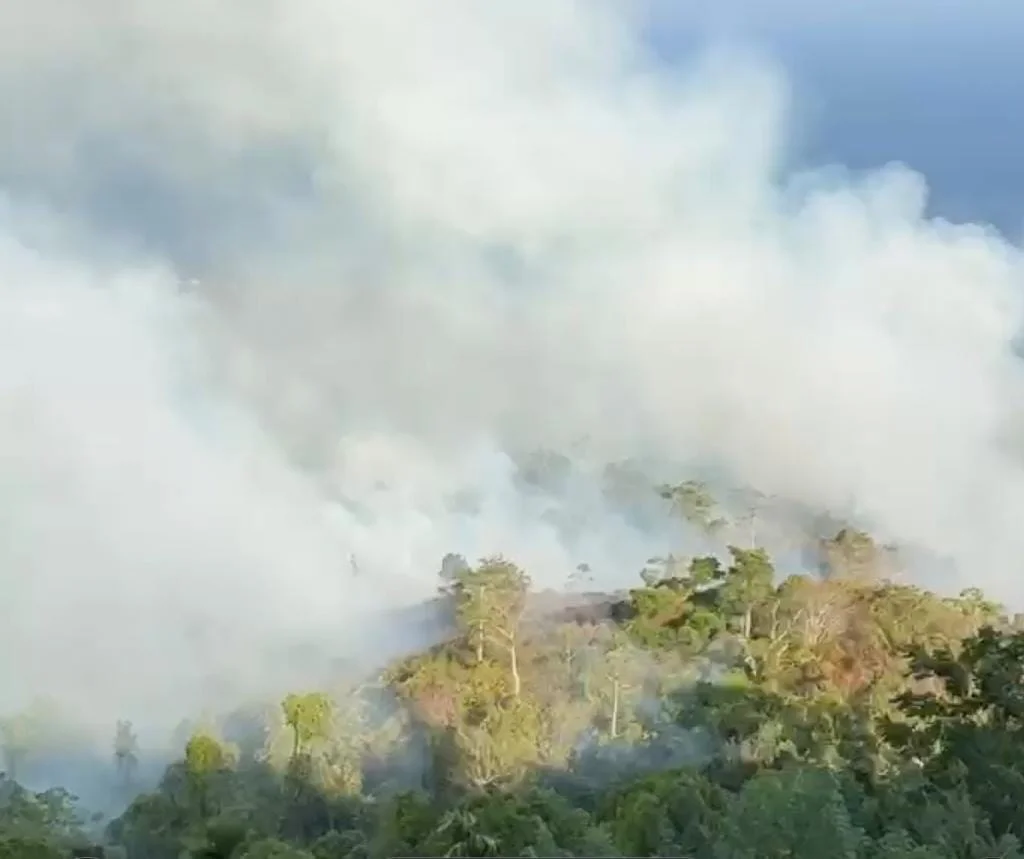 Kebakaran di salah satu kawasan Kota Tidore Kepulauan Foto dokumentasi warga - Apa yang Hilang Saat Hutan Tidore Terbakar