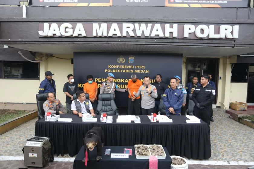 Konferensi pers Polrestabes Medan mengenai kasus perdagangan satwa dan bagian tubuh satwa liar dilindungi, dengan dua tersangka. | Foto: Humas Polri