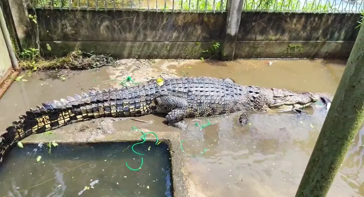 Bangka Belitung dan Sederet Konflik yang Menyertainya