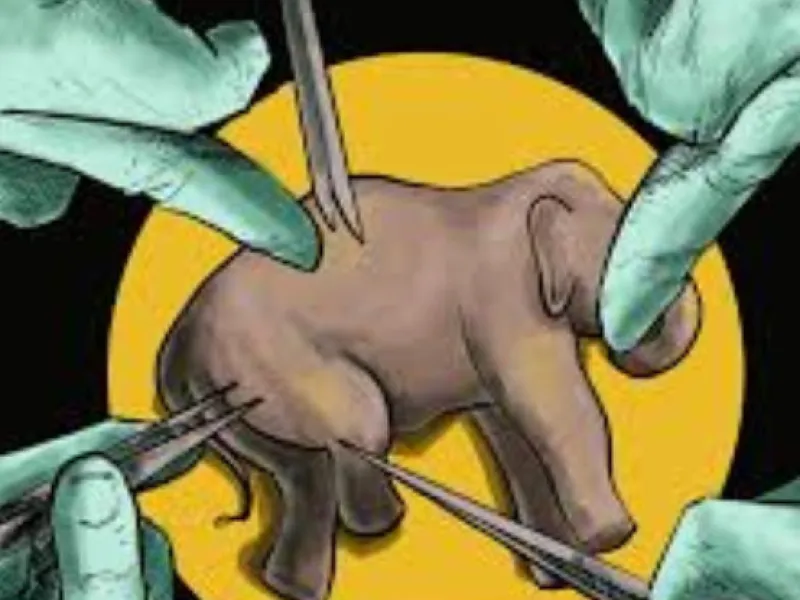 Bedah Tubuhku demi Temukan Keadilan Untukku