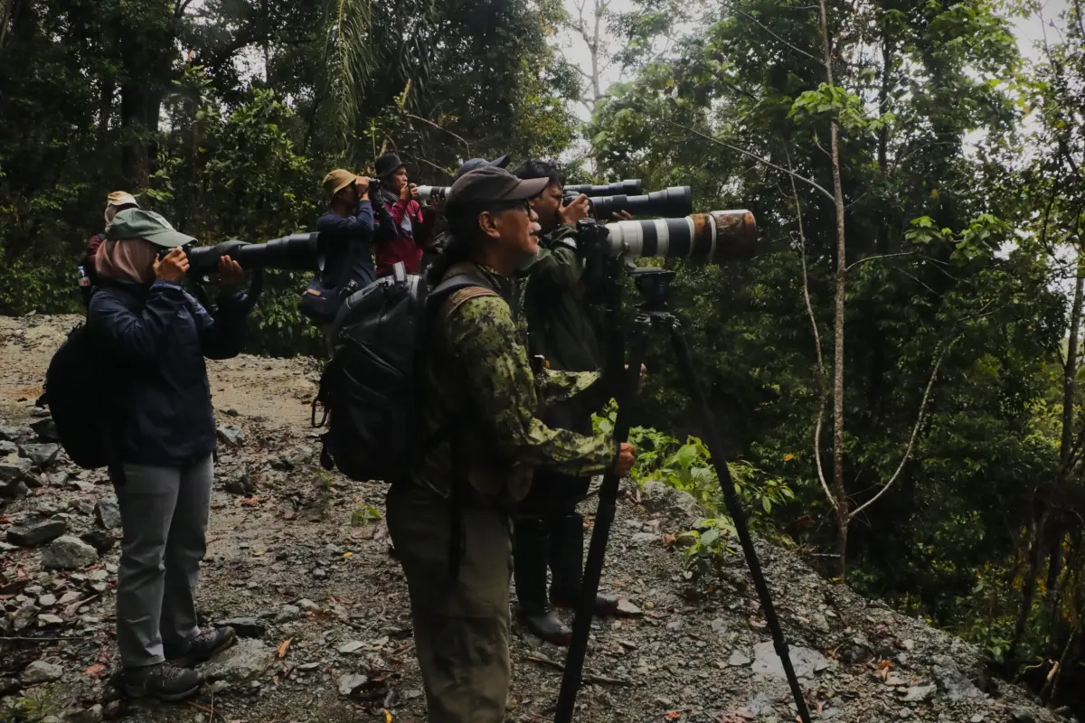 Berburu Foto Satwa di Beutong Ateuh, Merawat Kekayaan Hayati Aceh