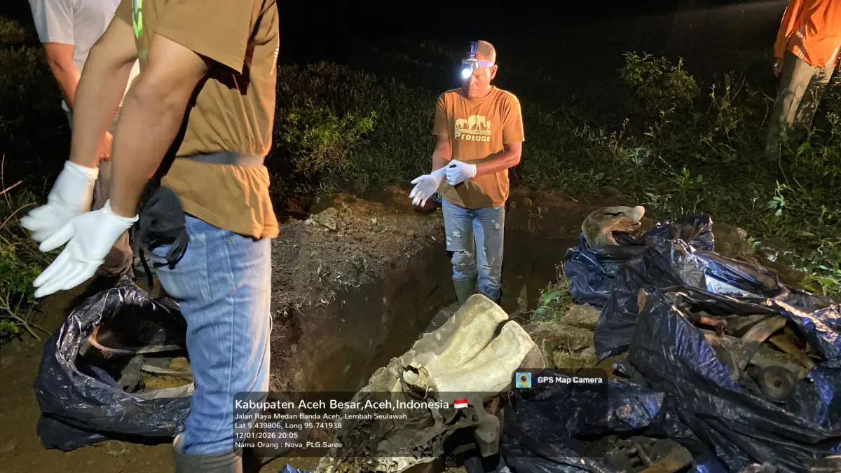 Proses penguburan tulang belulang dari bangkal gajah korban banjir di PLG Saree Kabupaten Aceh Besar Foto dok BKSDA Aceh...