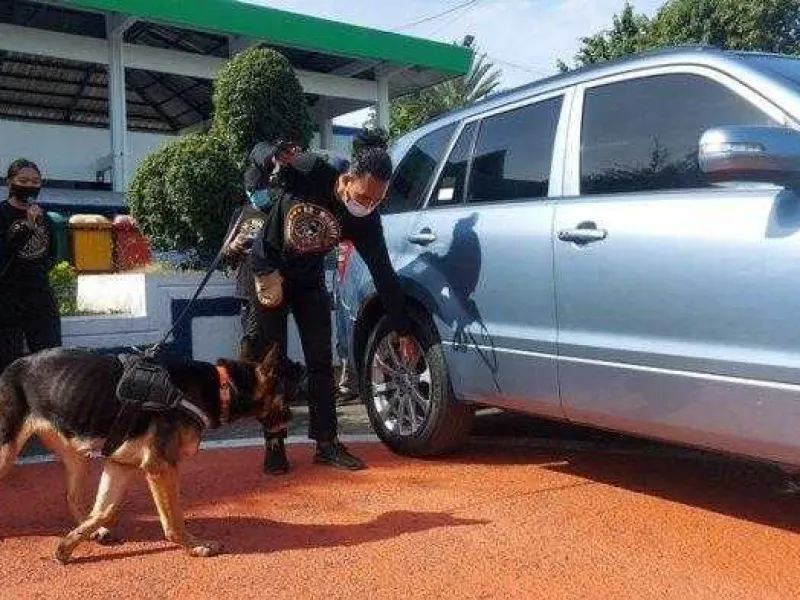 BKSDA Sulut Akui Pelabuhan Bitung Menjadi Jalur Penyelundupan TSL