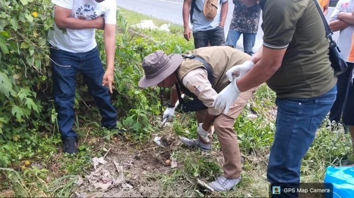 Bangkai macan akar yang tertabrak kendaraan di Kabupaten Simalungun Sumatera Utara Foto dok BBKSDA Sumut - Bukan Harimau...