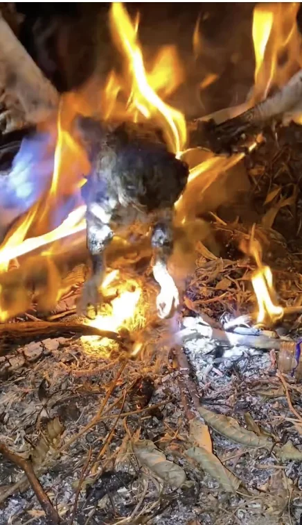 Uploaded content