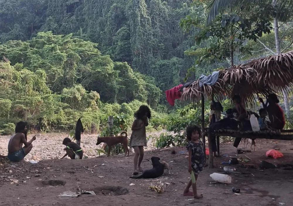 Suku OHongana Manyawa di pinggiran Sungai Tayawi Foto Yullin Lololuan 2026 - Cara Suku OHongana Manyawa Membaca Hutan Hal...