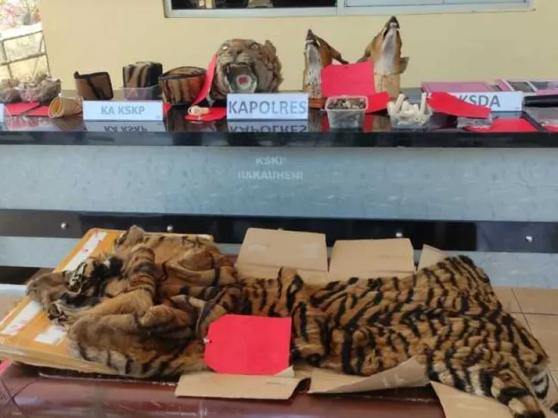 Dalam 2 Bulan, Ada 4 Kasus Penyelundupan Satwa Liar di Lampung Selatan