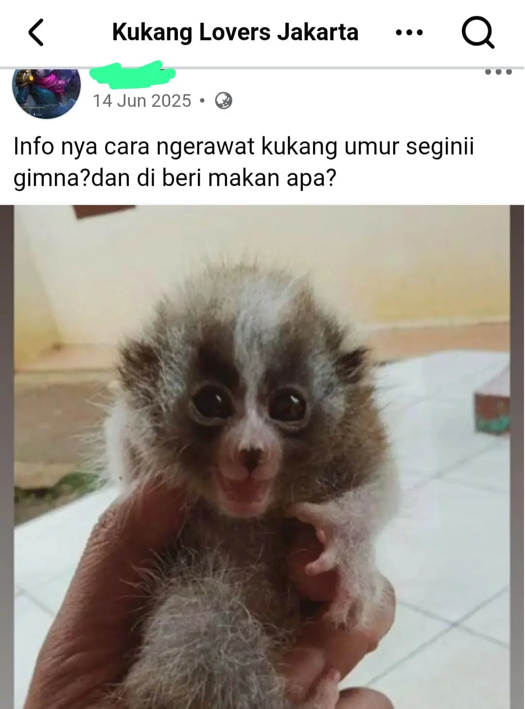 Uploaded content