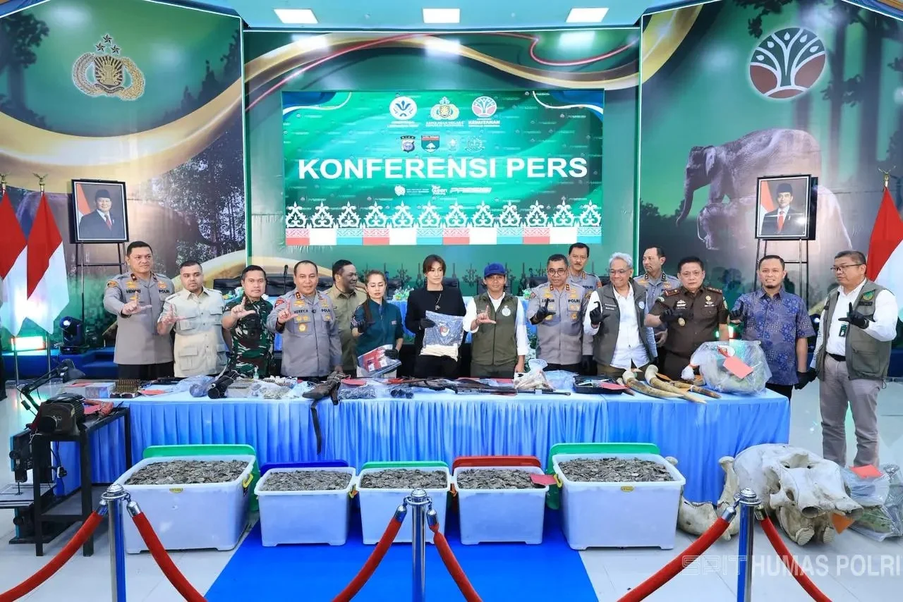 Konferensi pers oleh Polda Riau untuk mengungkap jaringan pemburu gajah sumatera pada kasus gajah mati di konsesi PT RAPP...