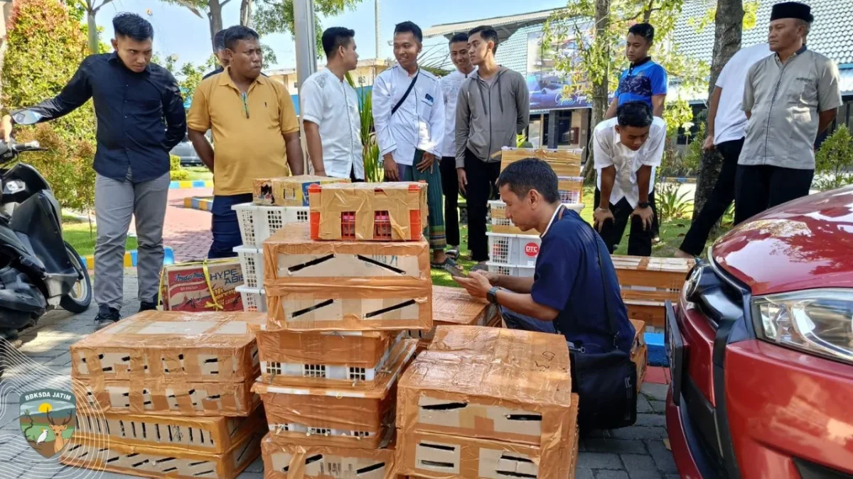 Gagalnya Penyelundupan Burung di Tanjung Perak dan 'Perang Kampanye' di Sosial Media