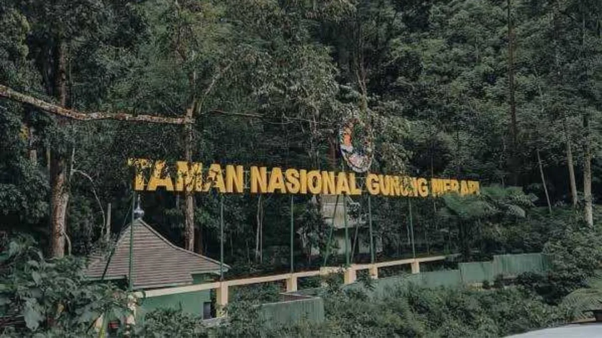 Gunung Merapi dan Kehidupan yang Bersembunyi di Baliknya