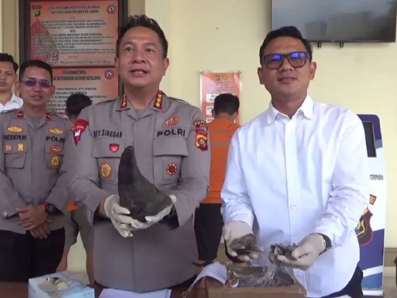 Hendak Jual Cula Badak dan "Kerupuk Udang", Empat Tersangka Diringkus Polisi