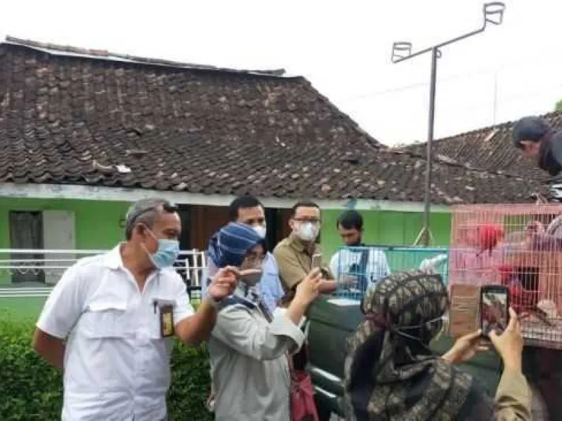 Iklan Burung Dilindungi di Medsos, Seorang Warga Yogyakarta Diamankan