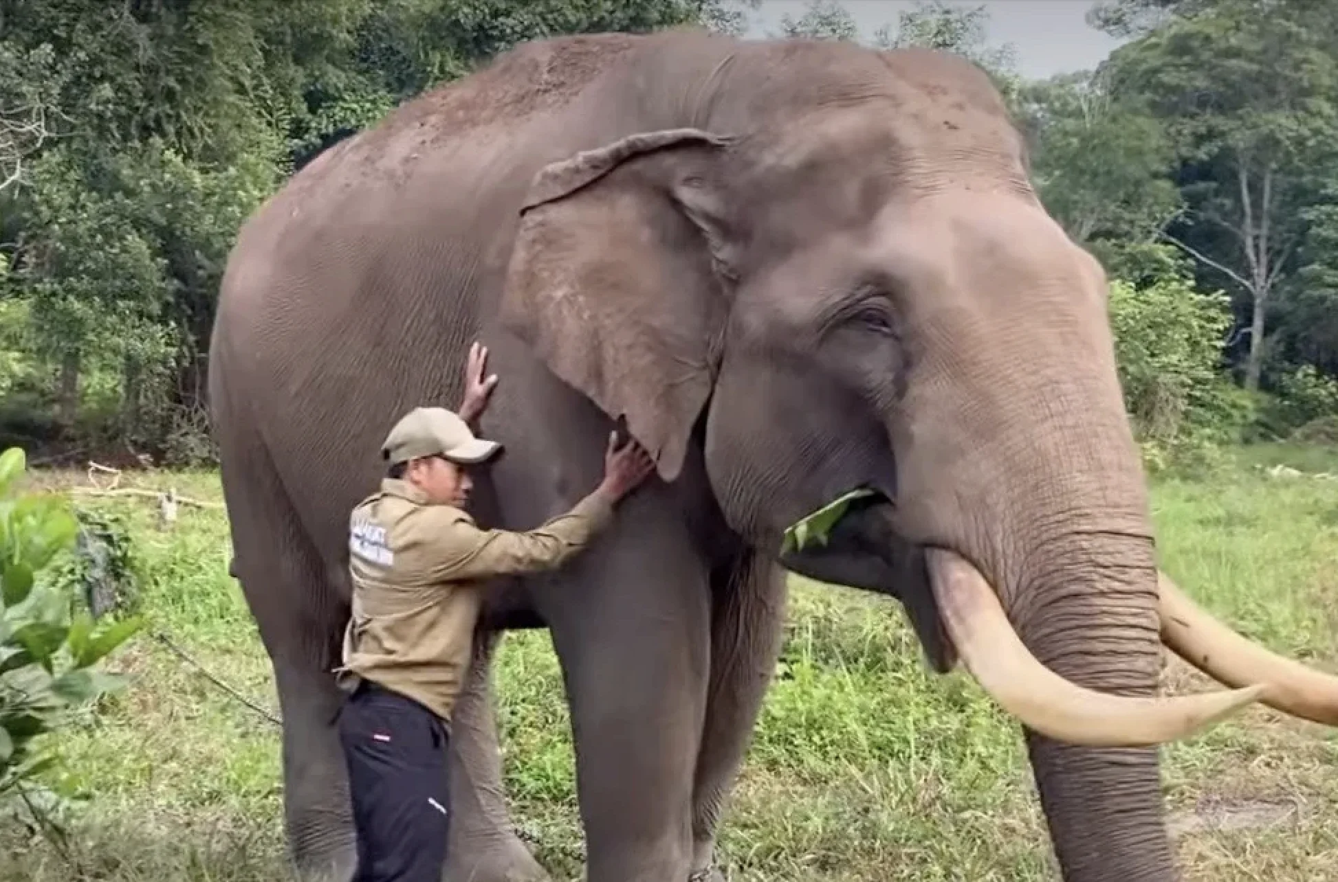 Kapten Indro bersama mahout di Camp Elephant Flying Squad Foto Humas Taman Nasional Tesso Nilo - Kabar Duka dari TNTN Gaj...