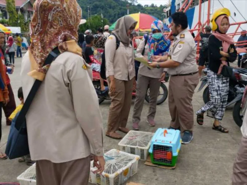 Karantina Amankan Penyelundupan Satwa Dilindungi dan Kucing Anggora