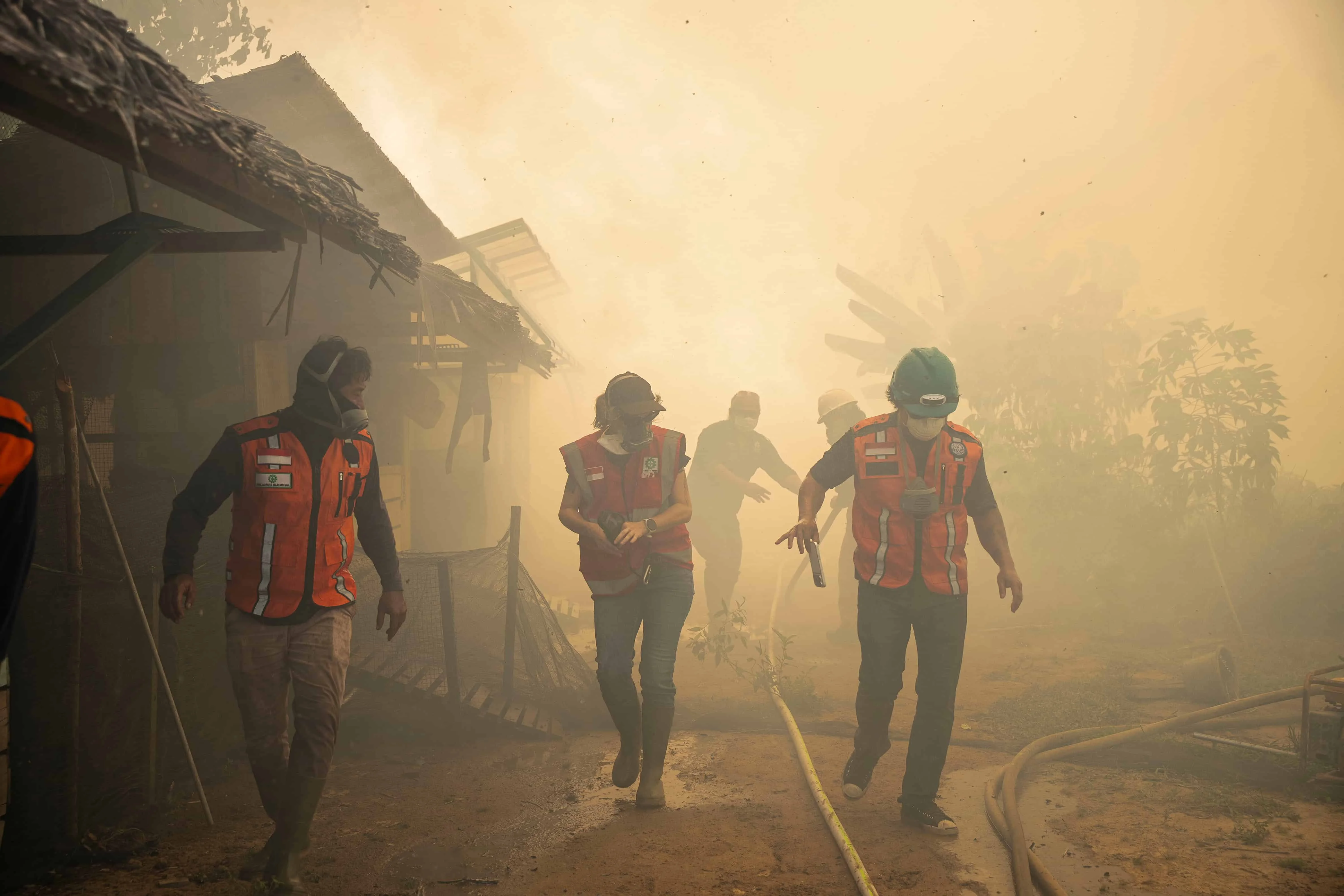 Karhutla Kalimantan Kepung Habitat Orangutan, Geopix: Susun Aksi Darurat Penyelamatan!