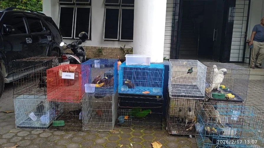 Puluhan satwa yang dititiprawat di BBKSDA Sumatera Utara Foto KSDAE - Keterbatasan Fasilitas Puluhan Satwa Hasil Sitaan d...