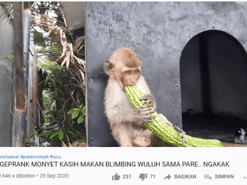 Ketika Monpai Diajak Alih Profesi dari Topeng Monyet ke Youtuber