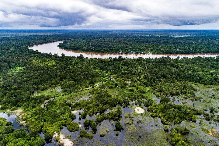 Lahan gambut salah satu ekosistem lahan basah yang memiliki peran krusial sebagai bintang penyimpan karbon serta habitat b...