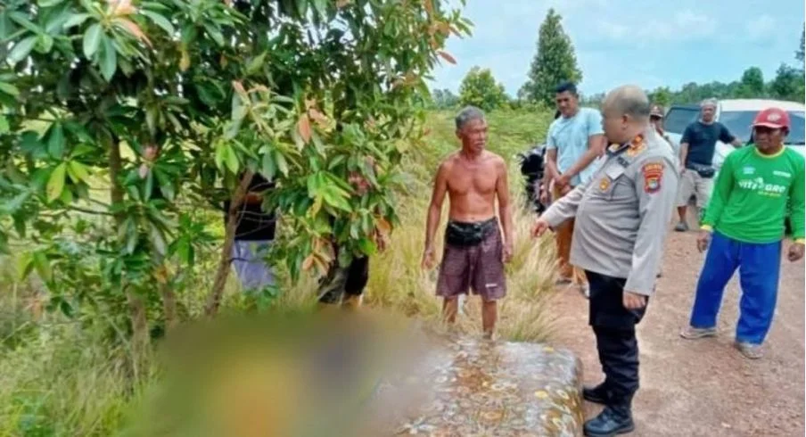 Konflik Buaya dan Manusia, Satu Lagi Warga Bangka Kehilangan Nyawa
