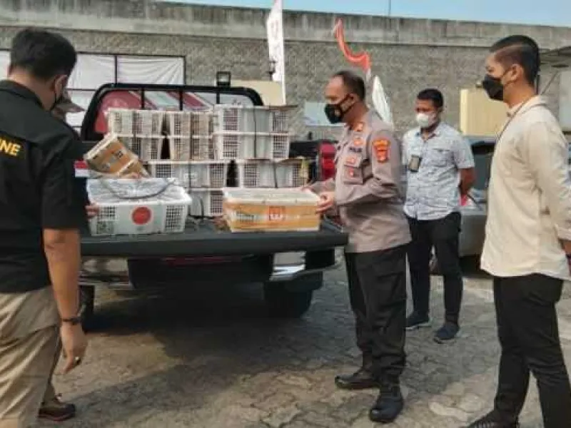 KSKP Bakauheni Ungkap Penyelundupan Ribuan Burung ke Jabar