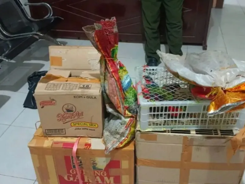 Mencolong lewat Sorong, Mendompleng Pakai Dempo