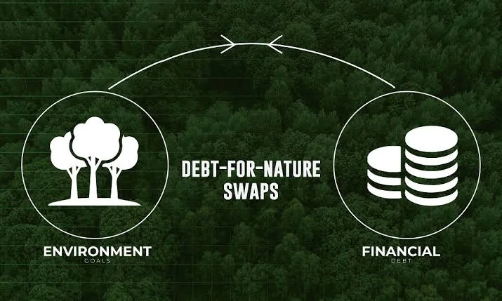 Ilustrasi mekanisme Debt-for-Nature Swaps Foto Bare Associates Advocates - Mengkaji Efektivitas Debt-for-Nature Swap dal...