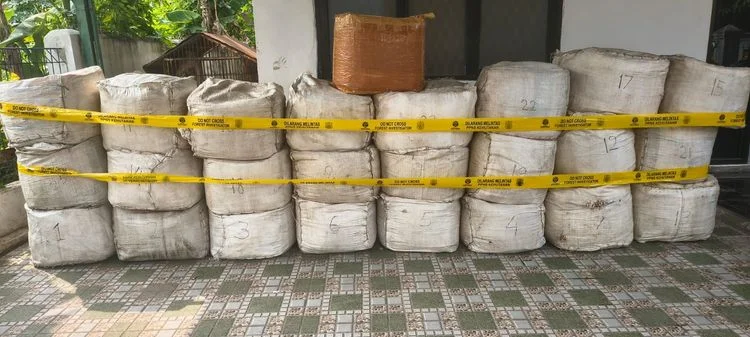Barang bukti penyelundupan 79634 kilogram sisik trenggiling yang ditemukan di Pelabuhan Merak Foto Kemenhut - Nakhoda Asa...