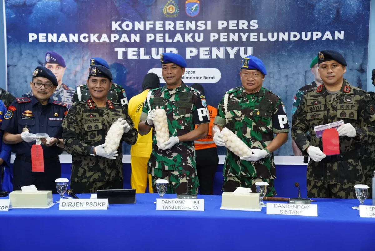 Oknum TNI Ditangkap karena Selundupkan Ribuan Telur Penyu di Kalbar