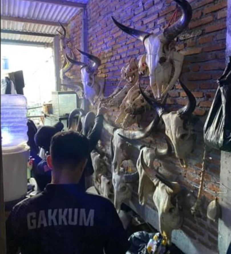 Operasi Gabungan di Malang Amankan 29 Bagian Satwa Liar Dilindungi