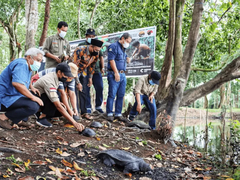 Pelepasliaran 33 Satwa dalam Rangka Hari Lingkungan Hidup Sedunia