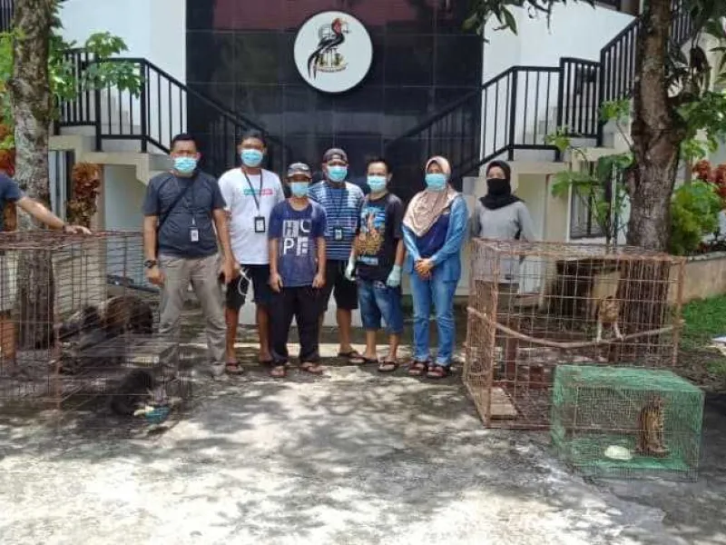 Pelihara Binturong, Elang dan Kucing Hutan, Seorang Pemuda Ditangkap Polisi