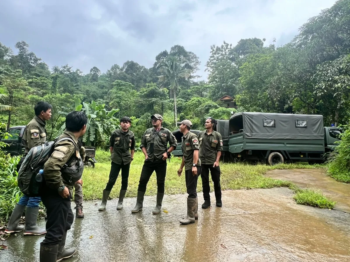 Tim gabungan mencari macan tutul yang terluka dan pemburu Foto Bernad T Wahyu Wiryanta - Pemburu Macan Tutul di Sanggabu...