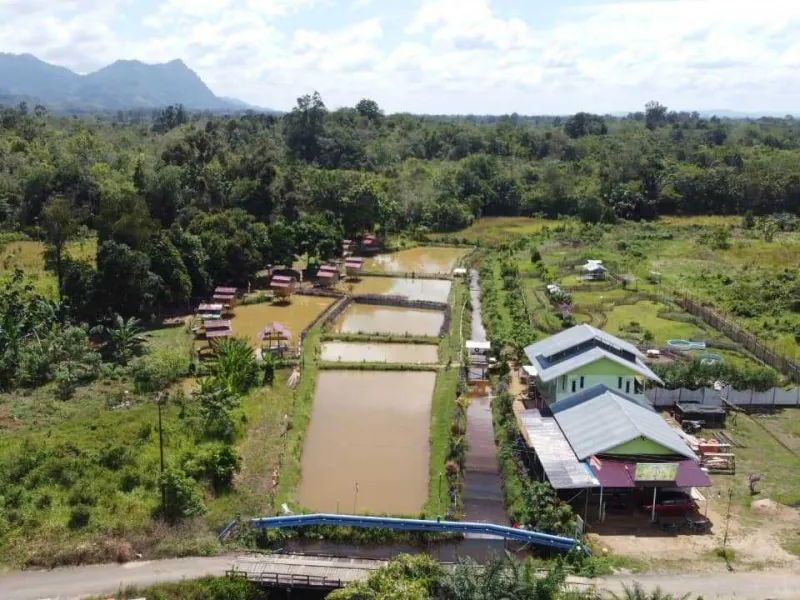 Pemilik Taman Satwa Ilegal Dituntut 2 Tahun 6 Bulan Penjara