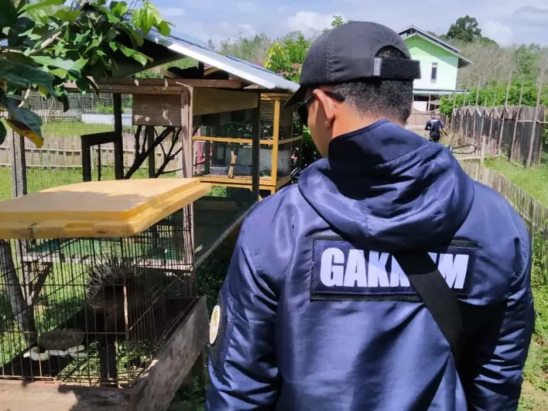 Pemilik Taman Satwa Ilegal Divonis 1 Tahun 3 Bulan Penjara