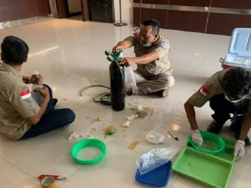 Penyelundupan Benur Senilai Rp 8 Miliar Berhasil Digagalkan
