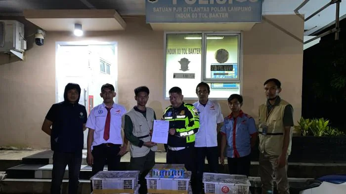 Penyelundupan Ratusan Burung, 40 di Antaranya Dilindungi Digagalkan di Lampung
