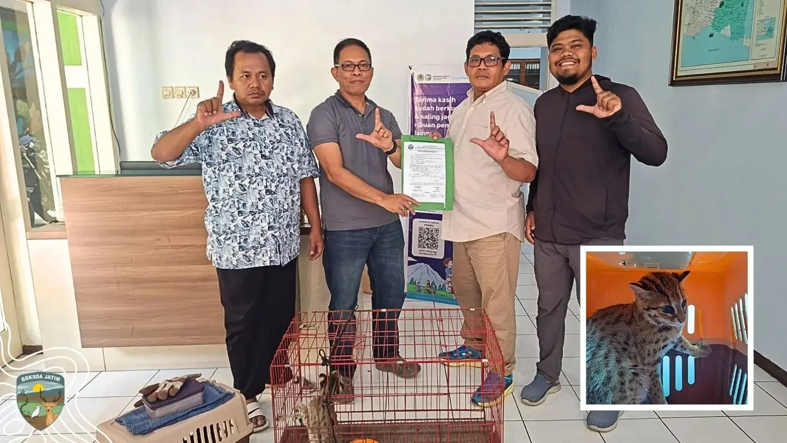 Petani di Jember Putuskan Serahkan Kucing Kuwuk ke BKSDA, Mulanya Dikira Kucing Domestik