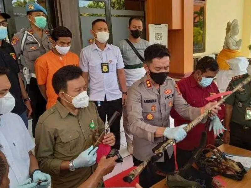 Petugas Mengamankan Pemburu Kijang di Kawasan TNBB