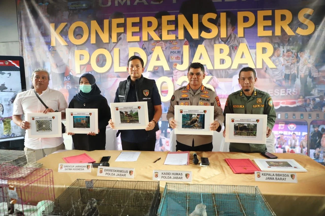 Jumpa pers pengamanan 14 ekor elang yang terdiri dari jenis elang-alap Jjambul dan elang tikus Foto Bandung Berita - Pold...