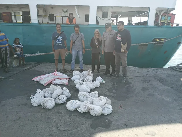 Puluhan Ketam Kenari Berhasil Diamankan Saat Patroli di Pelabuhan Yos Sudarso