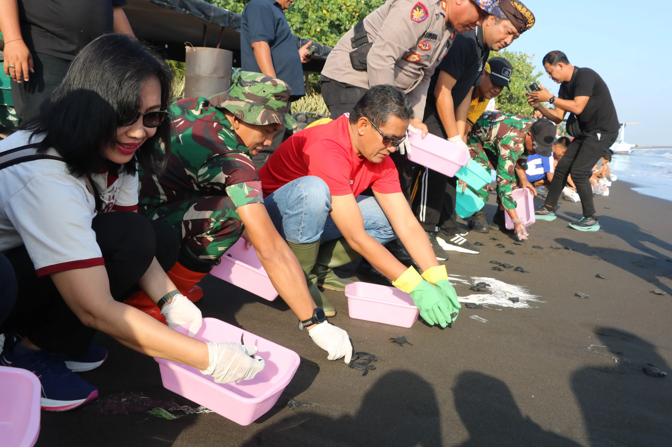 Pelepasliaran tukik di Pantai Desa Banjar Kecamatan Banjar Kabupaten Buleleng Bali Jumat 2182026 Bagian Humas dan Protoko...