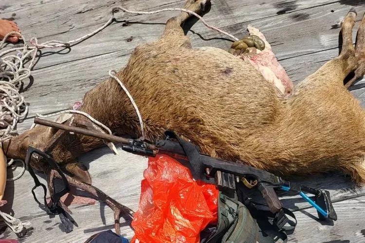 Sempat Berusaha Melarikan Diri, Tiga Pemburu Rusa di TN Komodo Diringkus Petugas