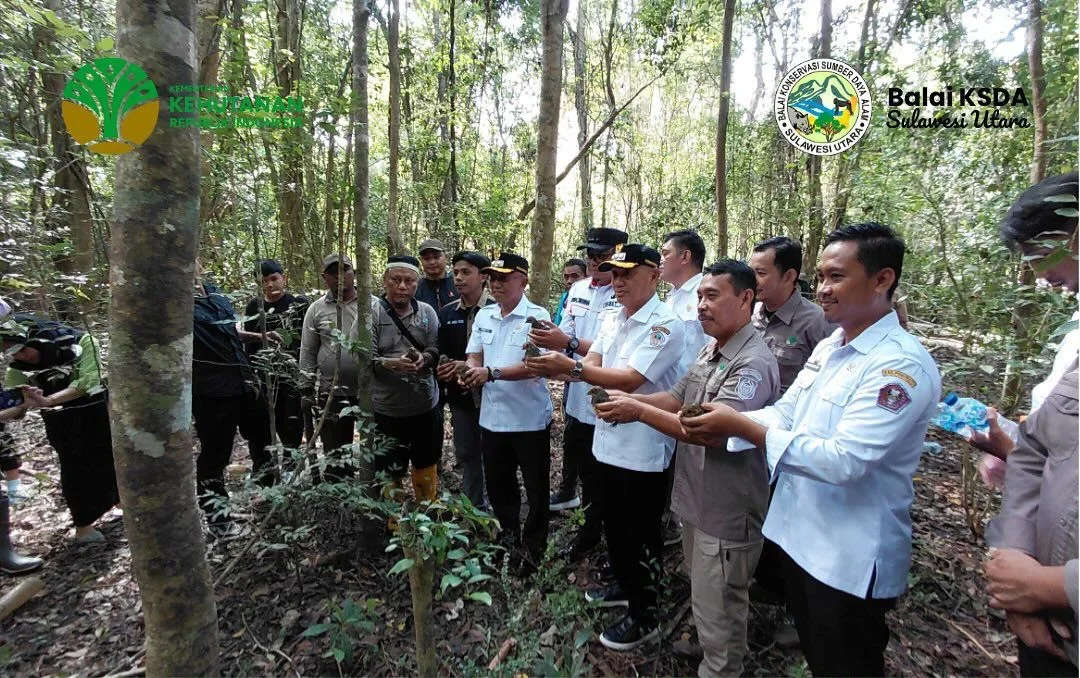 Sepuluh Burung Maleo Dilepasliarkan di Cagar Alam Panua, Bukti Kesadaran Akan Konservasi