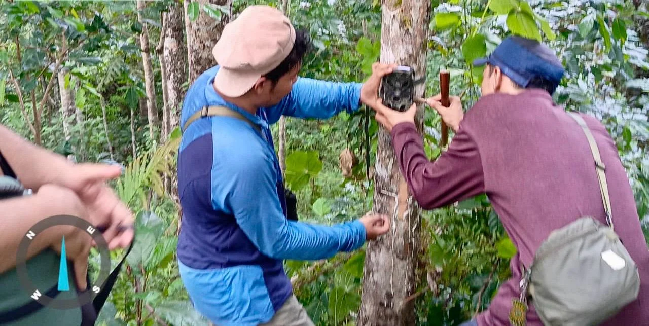 Setelah Konflik Harimau, BKSDA Amankan Lokasi dan Pastikan Situasi Terkendali
