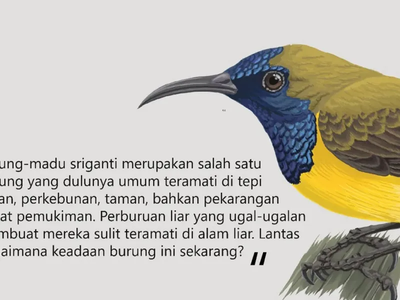 Sketsa Gelita Ibu Kota