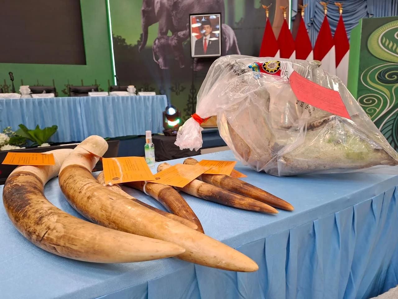 Tak Ada Pemeriksaan, Jamil Selundupkan Senjata ke Konsesi RAPP untuk Buru Gajah