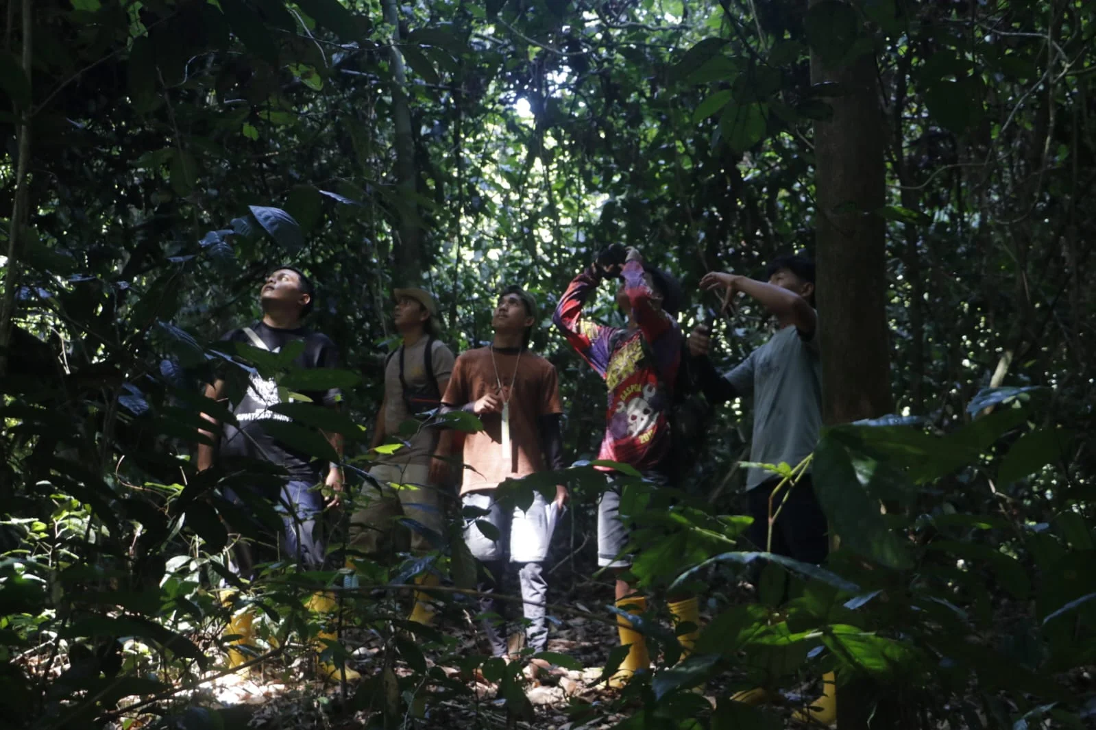 Temukan Jejak Gajah dan Bulu Burung Kuau: 7 Siswa SMA Berpetualang di Hutan Leuser