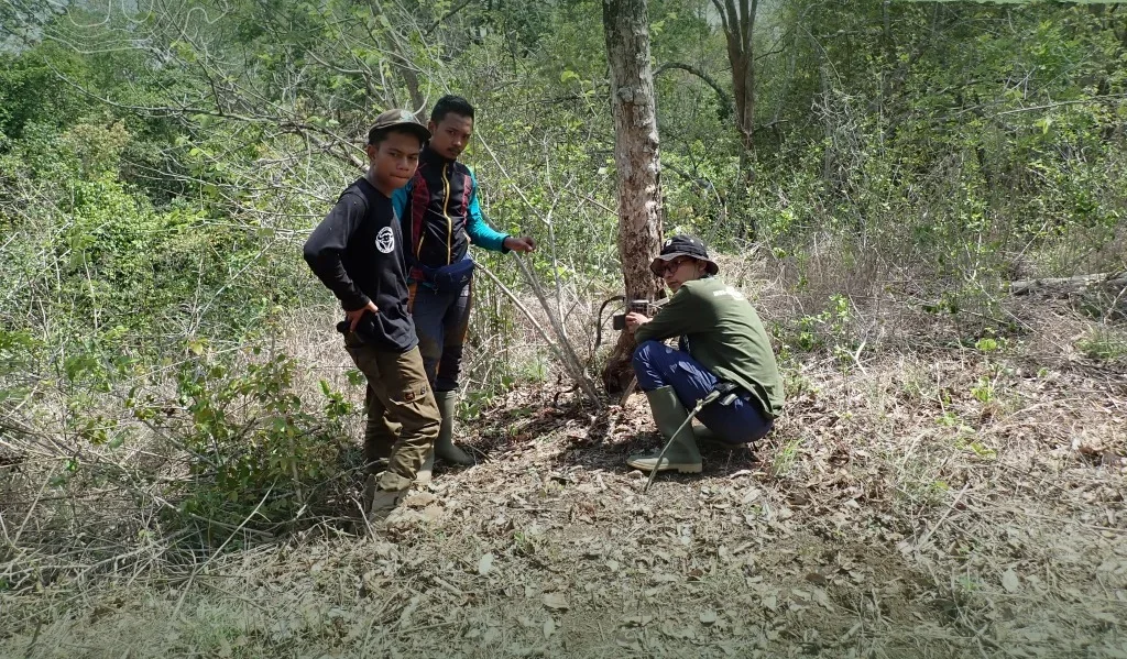 Tiga Kamera Jebak untuk Rekam Satwa Liar di Kawasan Ijen-Raung Raib